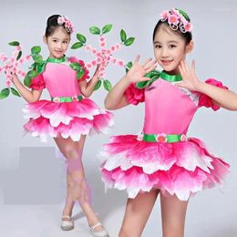 Stage Wear Contemporary Flower Dancewear Girls Dance Costume Kids Salsa Dress Of Girl Dancing