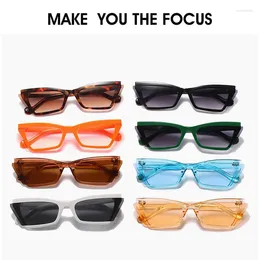 Sunglasses Frames Multi Color 2024 Cat Eye Small Frame Women Men Lenses Personalized Sun Glasses Eyewear Fashion UV400