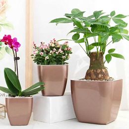 Planters Pots Flower pots self watering plant meat soup automatic drainage flower macetas para plantas Q240429