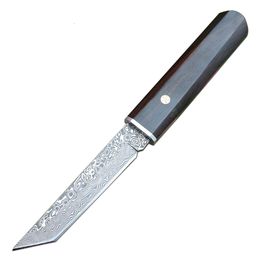 Outdoor Survival Fixed Knives VG10 Damascus Steel Point Blade Ebony Handle Fixed Blade Knives with Wood Sheath