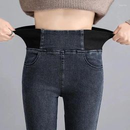 Women's Jeans Summer Thin Elastic Waist Autumn Winter Plush Large Hip Pencil Pants Plus Size Commute Leisure