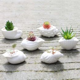 Planters Pots 6-piece/set mini white small flowerpot shell shape ceramic juicy plant holder fairy garden cactus for household use Q240429