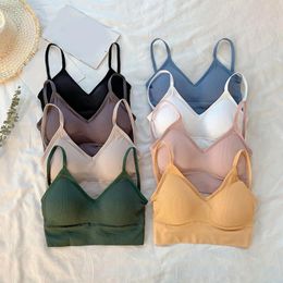 Bras 2024 Women Sexy Bra Seamless Underwear Wire Free Push-Up Brassiere Sports Padded Bralette Breathable Lingerie Female