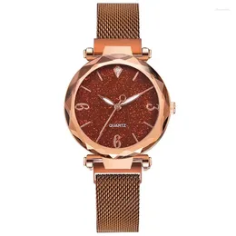 Wristwatches Rose Gold Women Watch 2024 Top Magnetic Starry Sky Lady Wristwatch Mesh Female Clock For Relogio Feminino Montre