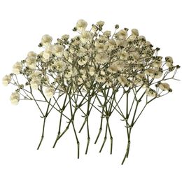 Dried Flowers 100PCS Bulk Dried Gypsophila Flowers For Pressing Craft DIY Materials For Bookmarks Grapes And for Decorations