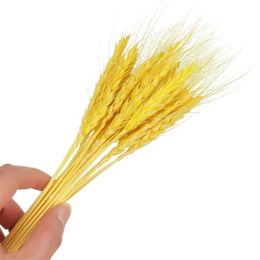 Dried Flowers Colourful Wedding Decor Natural Material Shooting Props Plant Stems Real Flower Wheat Ear Grass Dried Flowers Bouquets