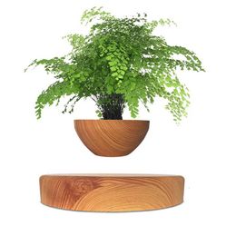 Planters Pots Home>Product Display>Suspended Air Bonsai Pot Rotating Plants>Magnetic Suspension Flower Decoration Q240429