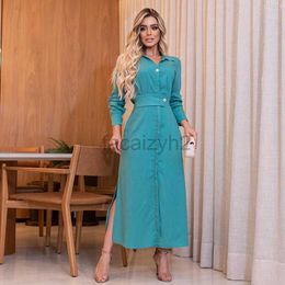 Basic Casual Dresses Designer Dress New Women's Autumn Style Polo Neck Long Sleeve Waist Split Long Dress