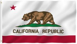 California Flag USA Flag 100 Polyester Banner Indoor Outdoor New United States state flags 90150CM3020618