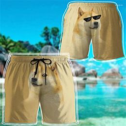 Erkek Şort 3D Baskı Komik Köpek Beach Street Hip Hop Havalı Tasarımlar Grafik Spor Giyim Gym Trunks Buz Yaz Hawaii Mayo 4xl