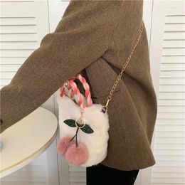 Evening Bags Handbag Autumn And Winter Versatile Fashion Girl Cherry Plush Bag Shoulder Messenger