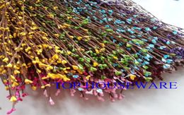 300pcs 8COLORS PIP BERRY STEM FOR DIY WREATH GARLAND ACCESSORYFloral Fillers8014242