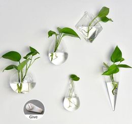 Vases 2pcsset Hanging Flower Pot Glass Ball Vase Terrarium Wall Fish Tank Aquarium Container Homw Decor5259654