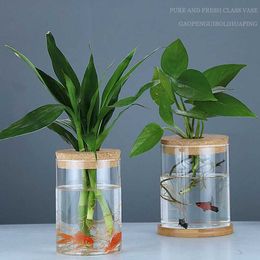 Planters Pots Transparent hydroponic flowerpots mimic glass waterless for household vases Q240429