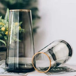 Vases Phnom Penh Glass Vase Painted With Gold Living Room Hydroponic Table Transparent Decorative Nordic