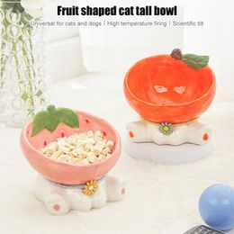 Cat Fruit Ceramic Bowl Elevated Pet Food Water Bowls Raised Small Dogs Tilted Drinking Eating Feeders Puppy Cats Accessories 240429