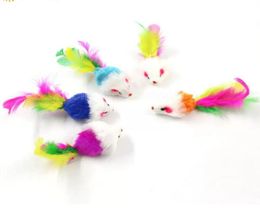 Colorful Feather Grit Small Mouse Cat Toys For Cat Feather Funny Playing Pet dog Cat Small Animals feather Kitten FY4654 FS148387490