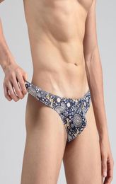 Men Sexy Briefs Transparent Personal Cotton Printed Briefs Bikini Gstring Thong Jocks Tanga Underwear Shorts Exotic Tback S9232503535