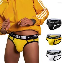 Underpants Brand Men Underwear Mesh Qucik-Dry Sexy Briefs Breathable Mens Slip Cueca Male Panties 3 Colors BS107