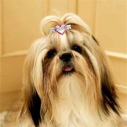 Dog Apparel Grooming Accessories Puppy Bows Cat Hair Clips Metal Hairpins Barrette