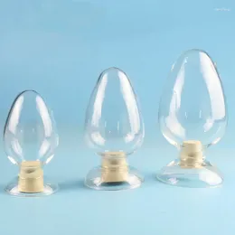 1Piece Chicken Heart Shaped Bottle Glass Sample Display Seed Exhibit Showing Conical Flask 125ml 250ml 500ml