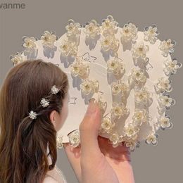 Haarzubehör Mini süße kühle Blumenhaarklauen Mädchen transparente Kristallhaar -Clipknopf Haar Clip Head Childrens Accessoires wx