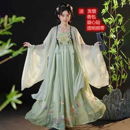 Ethnic Clothing Chinese hanfu tang chezi skirt hanfu womens long-sleeved shirt embroidery authentic daily suit spring and summer one-piece skir
