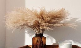 30 Stems Raw Color Plume Wedding Decor Flower Bunch Small pampas grass Home Deco Real Reed Natural Plant Ornaments4882328