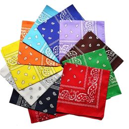 55x55cm HipHop Paisley Bandanas Feminina Head Scarves For Male Female Riding Western Headscarf Cowboy Scarf 240425