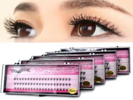 False Eyelashes 60 Cluster Faux Mink Curl Lash Grafting Eye Makeup Individual Fan Lashes Women Beauty Tools3376227