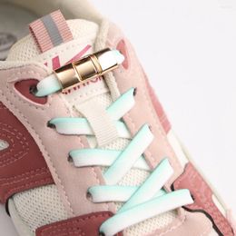 Shoe Parts Interspersed Lock Gradient Shoelaces Without Ties 8MM Flat Elastic Laces Sneakers Kid Adult No Tie Shoes Accessorie