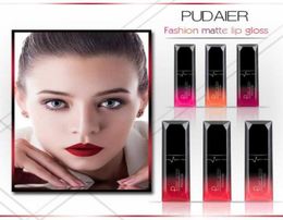Drop Ship Epack Pudaier Waterproof Liquid LipGloss Metallic Matte Lipstick For Lips makeup Long Lasting Matte Nude Glossy Lip Glos5505942