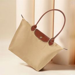 Trendy designer bag shoulder luxury bag tote shopping bag fashion women high quality nylon bag casual large capacity handbag outdoor vintage ornament te013 B4