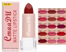 CmaaDu Matte Lipstick 15 Colours Options WaterResistant Moisturiser Natural Makeup Whole Lip Stick5669894