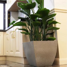 Vases Corrosion Resistant Plant Pot With Drainage Hole Sturdy And Durable Flowerpot Pots Light Gray