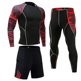Men's Thermal Underwear Pants >Thermal Suits>Running Athletic >Men's Leggings Shirts Fitness Training Men Rashguard