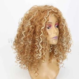 wigs wig mixed Colour long hair Chemical womens headgear Fibre