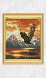 The flying Eagle Paintings Aida Embroidery Counted Printed On Canvas 11CT 14CT Chinese Cross Stitch kits Crafts Home Decoration Ne9750638