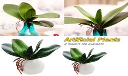 Decorative Flowers Wreaths Real Touch Phalaenopsis Leaf Artificial Plant Orchid Auxiliary Material Flower Decoration Fake4296647