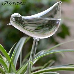 Plant Self Watering Globe Plants Water Bulbs Bird Shape Clear Glassplastic Watering Device 240429