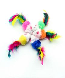 False Mouse Pet Cat Toys Mini Playing Toys with Colourful Feather1274153