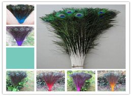 100 PCS High quality 7080cm 2832inches peacock feathers U pick color4284450