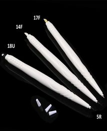 double head Disposable Microblade Pen With 14P17P18uU and 5R blades For Makeup Eyebrow Tattoo Pen Machine8813388