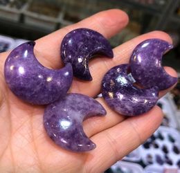 Holiday Gift Natural Lepidolite Purple Mica Moon Crystal Polished Stone Treatment Decoration Craft And Mineral5867723