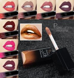 Pudaier New Makeup Waterproof Lip Gloss Matte Liquid Lipstick Women Cosmetics Makeup Nude Purple Black Rose9448475