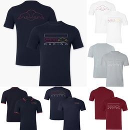 2024 New F1 Racing Logo T-shirt Formula 1 Team Driver Fans Polo Shirts T-shirts Summer Extreme Sports Casual Men's T-Shirt Women Jersey