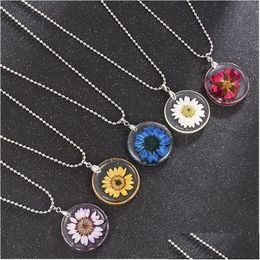 Pendant Necklaces Pendant Necklaces Women Fashion Real Natural Dried Flower Necklace Simple Round Resin For Gift Jewelry Wholesale Dro Dhbbv