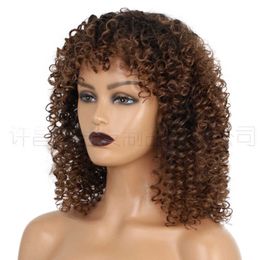 Fibre Wig kinky curly wigs small gradient long curl wig female chemical headgear