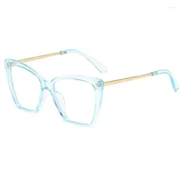 Sunglasses Frames Women's Fashion Blue Light Glasses 2024 Cat Eye Designer Ladies Flexible Optical Eyeglasses Frame UV400