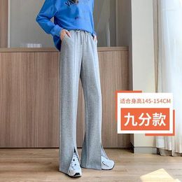 Women's Pants S-2XL Womens Broad Leg Casual Spring Autumn Female Trousers Elastic Waist Solid Loose Fitness Fashion Ladies Clothes Hw47